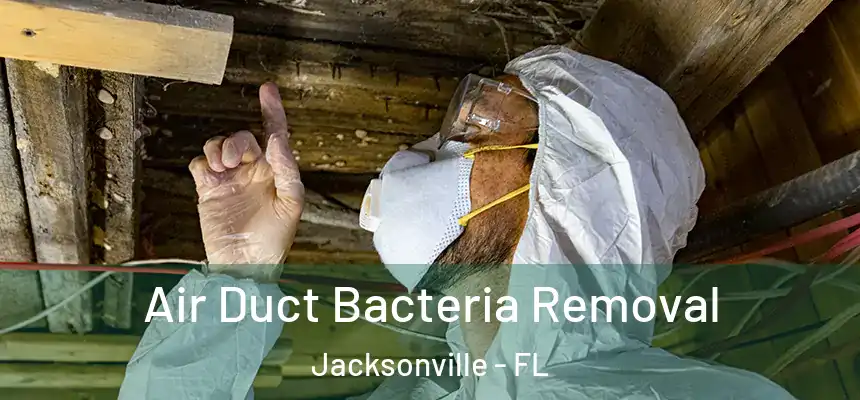 Air Duct Bacteria Removal Jacksonville - FL