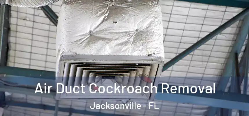 Air Duct Cockroach Removal Jacksonville - FL
