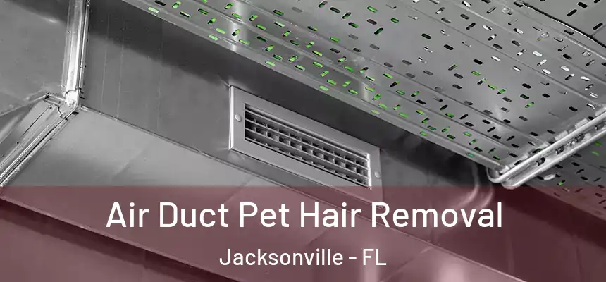 Air Duct Pet Hair Removal Jacksonville - FL