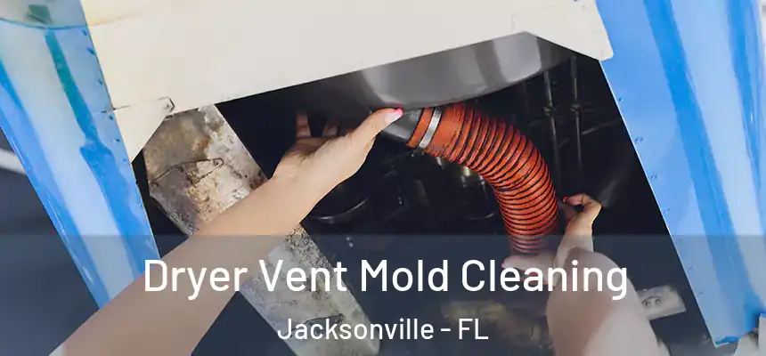 Dryer Vent Mold Cleaning Jacksonville - FL