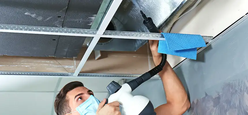 Our Air Duct Rodent Removal Services in Jacksonville, FL