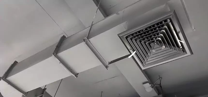 Our Pest Removal From Ducts Services in Jacksonville, FL