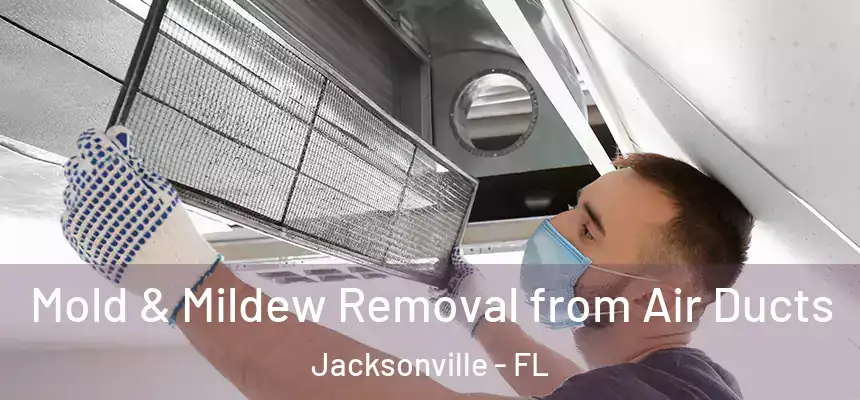 Mold & Mildew Removal from Air Ducts Jacksonville - FL