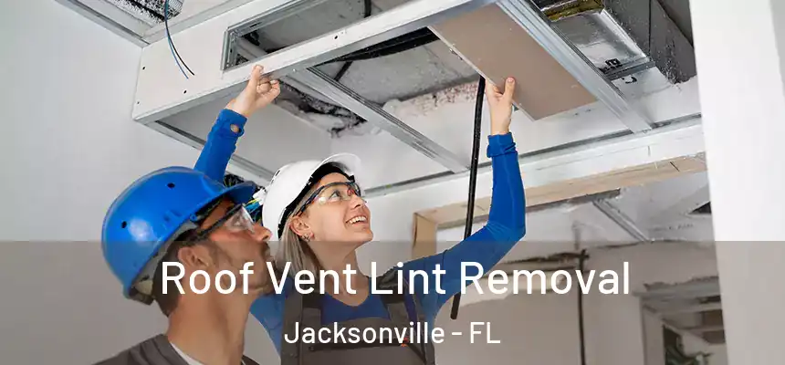 Roof Vent Lint Removal Jacksonville - FL