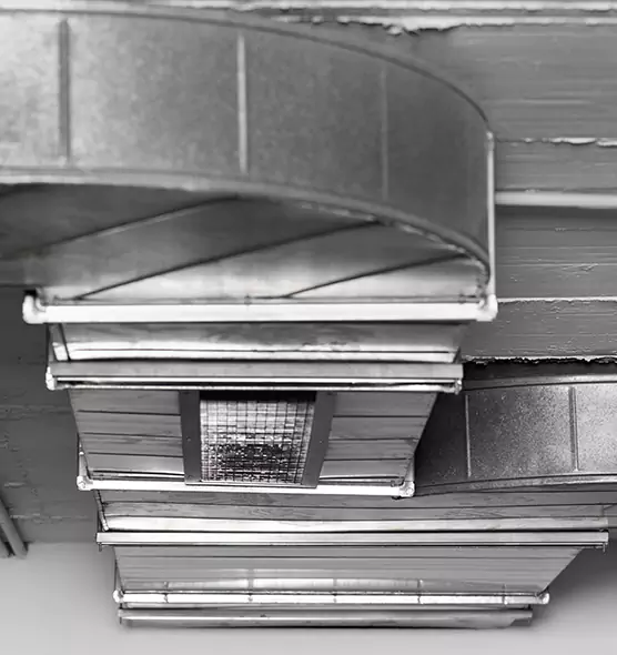 Professional Air Duct Pest Removal in Jacksonville, FL