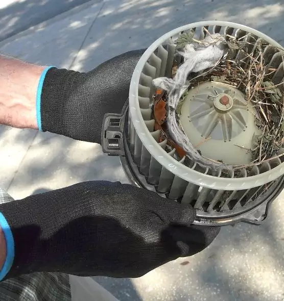 About Air Duct Rat Removal in Jacksonville, FL