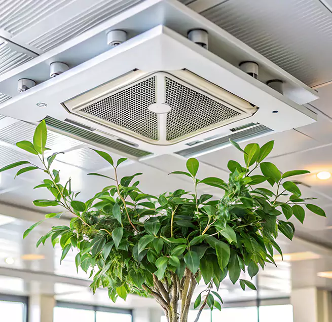 Why Homeowners & Businesses Trust Us in Jacksonville, FL?