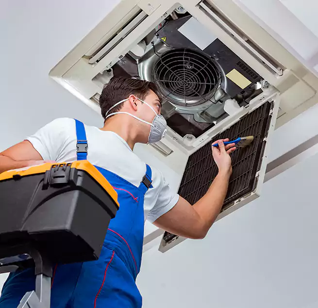 Why Homeowners & Businesses Trust Us in Jacksonville, FL?