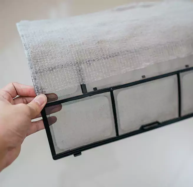 Why Homeowners & Businesses Trust Us in Jacksonville, FL?