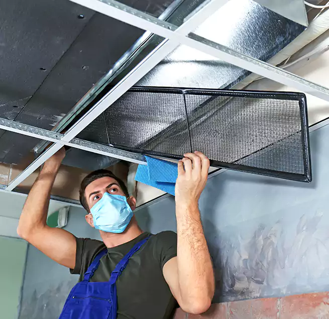 Why Homeowners Businesses Trust Us in Jacksonville, FL